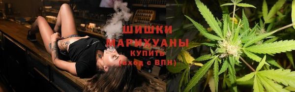 сатива Балабаново