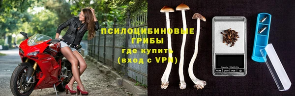 сатива Балабаново